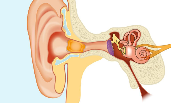 Ráy tai tích tụ dễ gây bít ở lỗ tai
